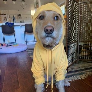 Meet your Posher, Jesse